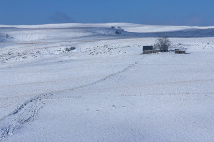 Buron sur le plateau de lAubrac enneig, sur la commune dAubrac.