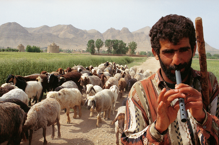 Mahmoud Bashiri, un berger de Gavart, garde ses moutons en jouant dune flte quil sest fabrique dans un tuyau en plastique (Iran).