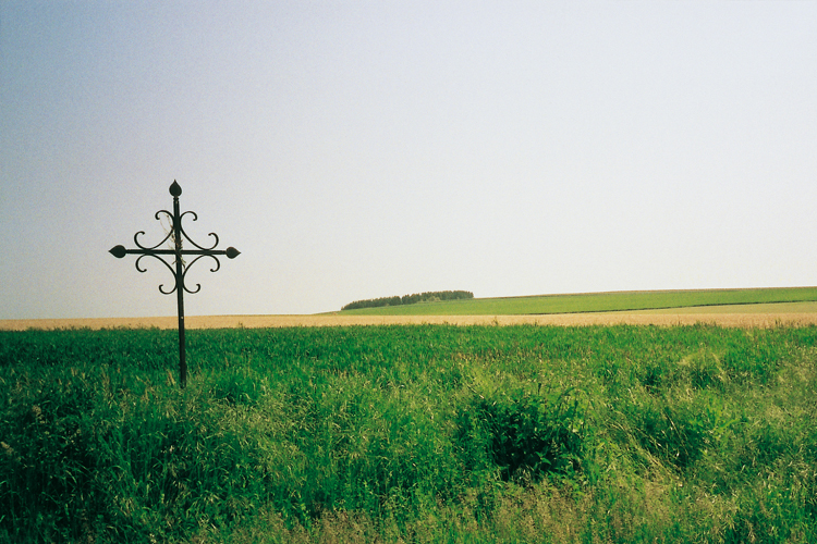 Les premires tapes du priple traversent la Brie, o une croix chrtienne se profile au-dessus dun champ de bl en herbe.