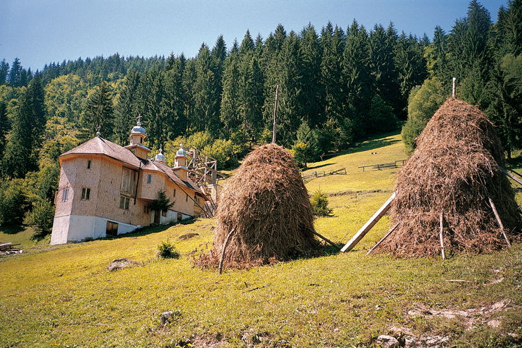  Dans les monts Apušeni, la campagne roumaine vit au rythme sculaire des carrioles  cheval. Les travaux des champs se pratiquent souvent sans mcanisation,  limage de la fenaison qui garnit les pentes de meules dores devant le monastre de Vadu Motilor.