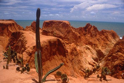 Les falaises grseuses, monochromes ou multicolores, sont avec les dunes de sable les lments caractristiques des plages du Nordeste, comme  MorroBranco.