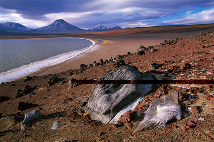 Roches volcaniques aux abords de la Laguna Leija, Altiplano.