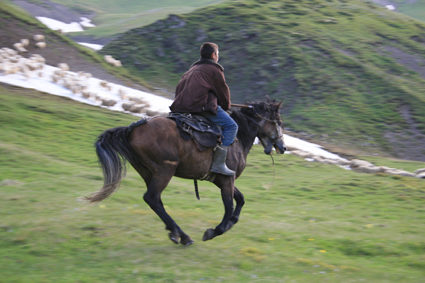 Jeune berger rassemblant son troupeau avant la tombe de la nuit. Le cheval est lunique moyen de dplacement dans certaines rgions caucasiennes. Il met en valeur son cavalier et est un vritable symbole de masculinit, aussi tient-il une place importante dans la vie dun Touchi.
