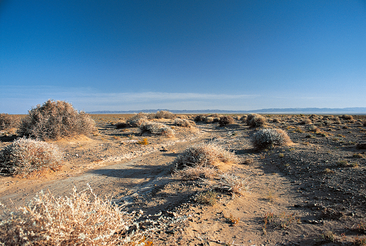 Plateau dune altitude moyenne de 1000mtres, couvert de sable sur 3% de sa surface, le dsert de Gobi, tire son nom des <i>gowi</i>, cuvettes caillouteuses  fond plat. Celle de Sharga (province du Gov-Altai) dans louest du pays compte parmi les plus vastes.