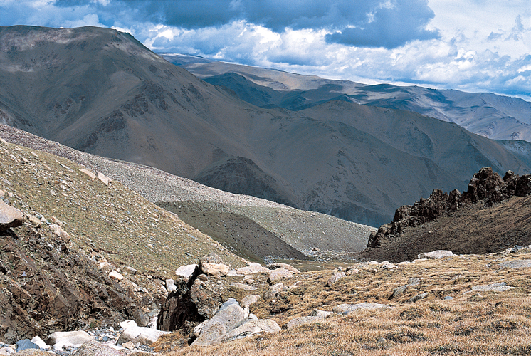 Ne des glacis du Gobi, la chane de lAltai mongol longe la Dzoungarie chinoise jusquen Sibrie. Elle culmine au mont Khuiten  4373mtres et se raccorde, dans la Rpublique dAltai et le Touva,  lAltai russe, plus compact et humide.