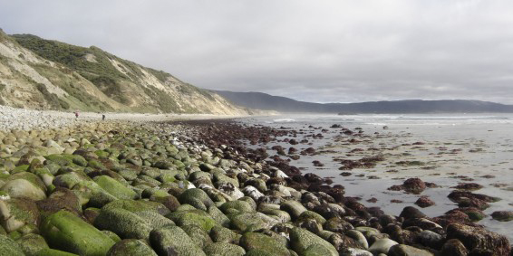 Au sud, lle Stewart (Rakiura en langue maori) est la dernire terre habite avant lAntarctique, avec moins de 400mes. Ses paysages sauvages sont peu explors, comme ici la plage de la baie Mason.
