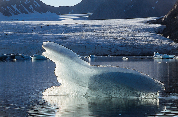 En dpit de sa beaut, lArctique est un univers de tension. Mer, glace et vent se livrent  un conflit perptuel.