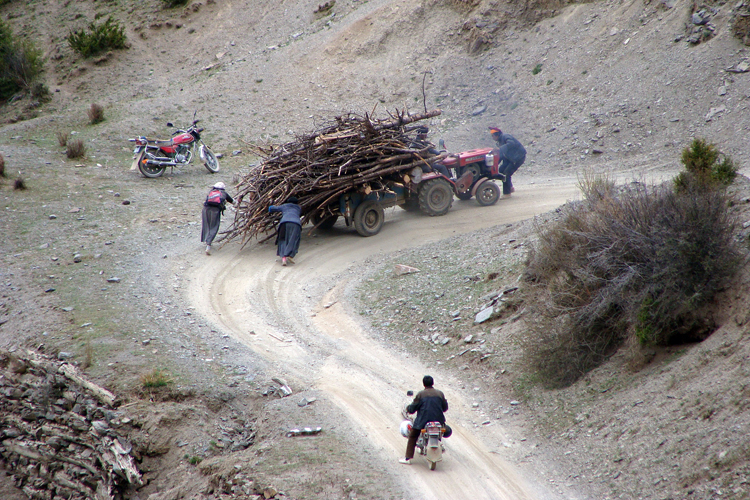 Le bois de chauffage, disponible dans les valles et sur les contreforts du plateau tibtain, est avantageusement remplac par les bouses de yack au-del des 4000mtres.