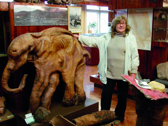 Dima, jeune mammouth g de quarante mille ans trne dans le muse de lInstitut de gologie de Magadan au milieu des milliers de trsors trouvs en Kolyma par trois gnrations de chercheurs.