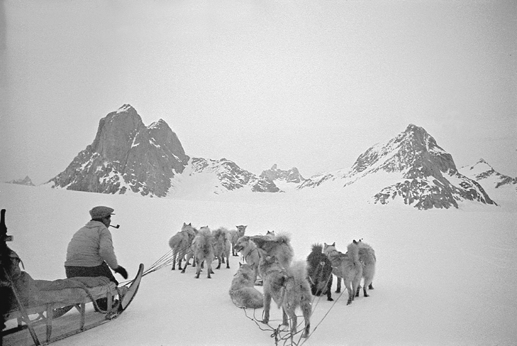Avec Kristian,  traneau vers la rgion du mont Forel, en juin1937.