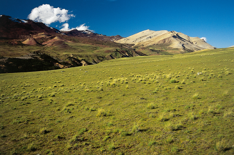 Les pacages sont rarement verdoyants  lestancia Sierra Nevada, au nord du lac SanMartin.