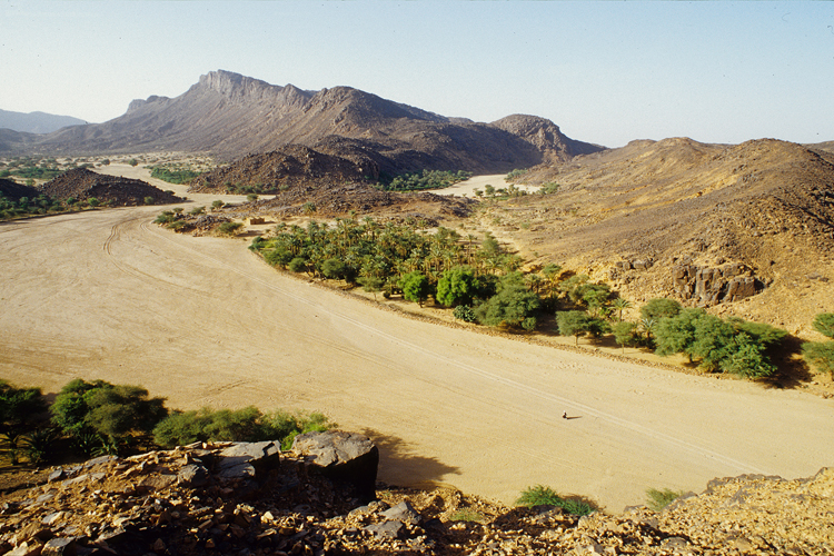 La palmeraie de la haute valle de Timia se situe au cur du massif de lAr.