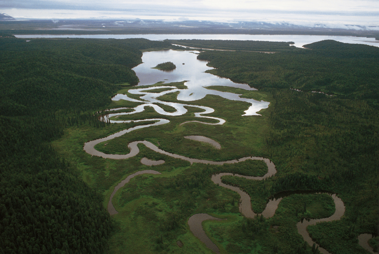 Mandres et bras morts du fleuve Yukon  hauteur de RussianMission.