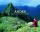 Andes