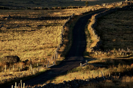 Chemin du plateau de lAubrac au couchant, sur la commune de Rieutort.