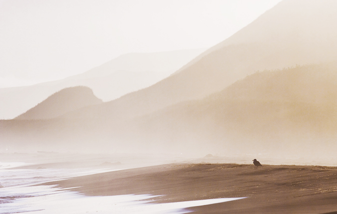 Plage au nord de Nikolskoe que la brume marine laisse percevoir un court instant. Quand le vent se calme, quil cesse de pleuvoir ou de neiger, le rude climat de lle cotonne les paysages dun pais brouillard. Les jours de temps clair sont exceptionnels mme en t sur larchipel.