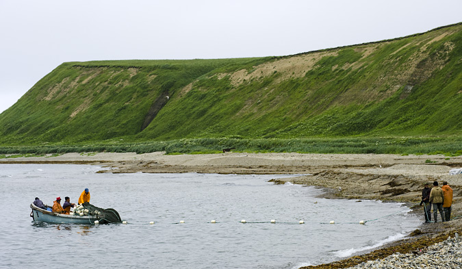 Cest reparti pour une nouvelle pose du filet, il y en aura trois par jour au rythme de la mare.