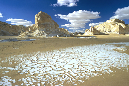 Mare de dessiccation temporaire dans un canyon du dsert Blanc, qui conserve la preuve de prcipitations importantes.