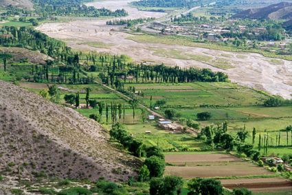  hauteur de Huacalera, situ  2600m daltitude, laridit des versants de la Quebrada contraste avec le caractre verdoyant de la valle, o lon cultive lail, le mas et mme la vigne.