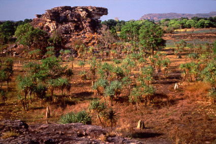  Ubirr, situ aux marches du parc national de Kakadu qui couvre 20000hectares, la vue stend sur les plaines marcageuses constelles de termitires hautes de 2mtres, que bordent au nord des mangroves et le plateau dArnhem  lest.