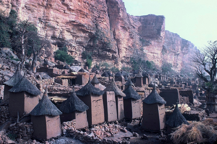 Village de Tiogou. Les greniers, avec leurs toits coniques, occupent un espace considrable dans les villages.