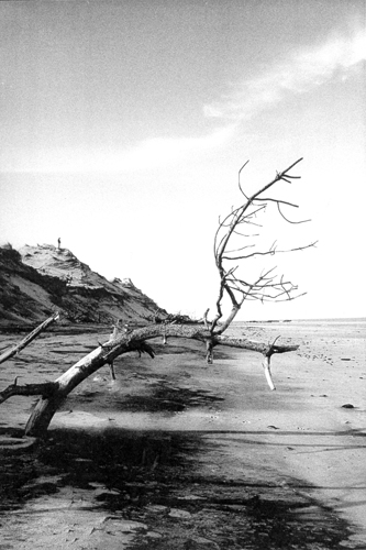 Premiers pas sur la plage  Soulac-sur-Mer (Gironde).