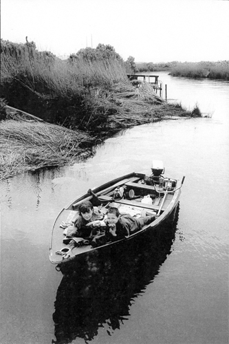 Les enfants du marais (bassin dArcachon).