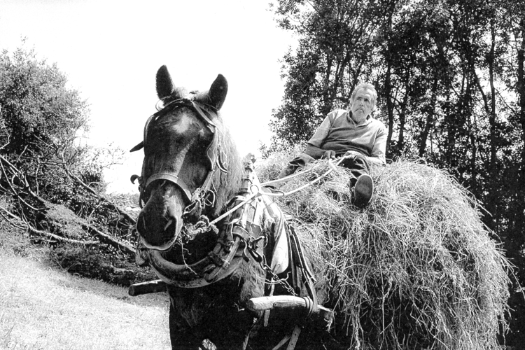 Don Quichotte et Rossinante (Asturies).