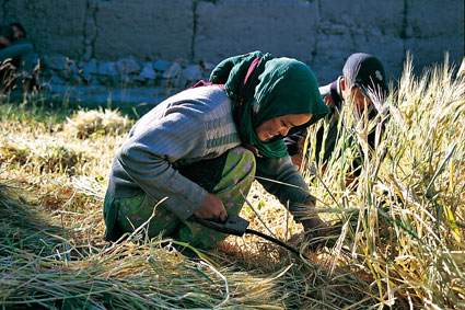 Dans le sud du Yunnan, lhabitat rural est en briques de terre crue. Les ruelles sparant les maisons ne laissent rien prsager des vastes cours intrieures qui abritent lintimit de la famille.