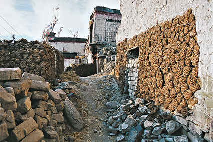 Architecture. Alors que le centre-ville de Lhassa est marqu par la modernit et linfluence chinoise, il faut se rendre dans les quartiers plus reculs pour retrouver les formes darchitecture traditionnelles, utilisant la pierre et la chaux.