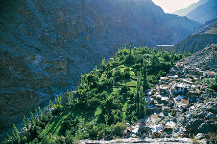 Les vergers. Dah est un village isol de la valle de lIndus. Ces rgions  flanc de montagne bnficiant de prcipitations abondantes, les Dokpa  ethnie indo-aryenne du Ladakh  peuvent se consacrer  la culture de fruits comme labricot.