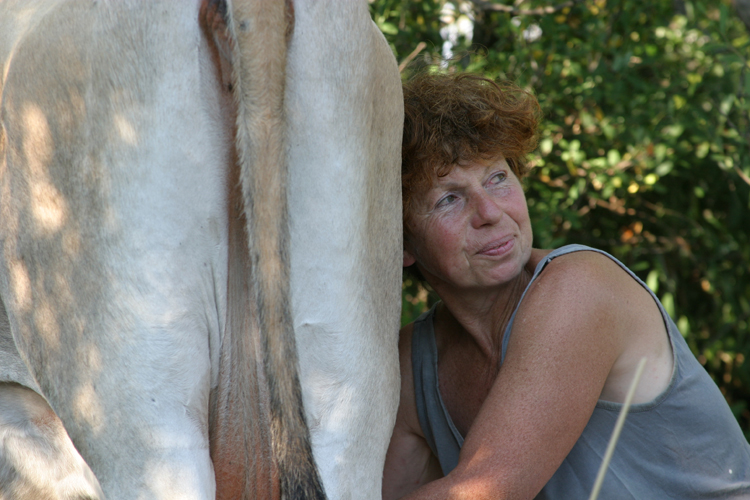 Anne-Marie Lavaysse, vigneronne  Saint-Jean-de-Minervois(Hrault).