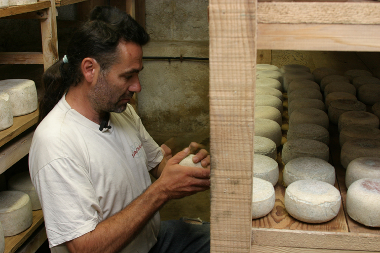 Marc Ollagnier, leveur laitier et fromager  Saint-Maurice-sur-Dargoire(Rhne)��.