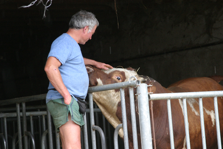 Serge Wurtz, cueilleur et producteur de simples, petits fruits et fruits  Frland(Haut-Rhin)��.