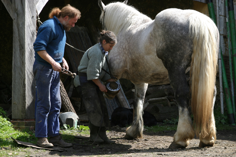 Jean-Louis & Nicole Lefranois, leveurs de vaches jersiaises et fromagers  Condeau(Orne).��