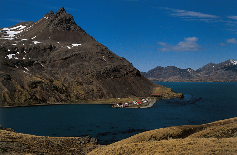 Base britannique scientifique où résident des militaires depuis 1982, au pied du mont Duse, à Grytviken (Géorgie du Sud).