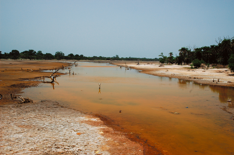 La Casamance et ses marigots  Sngal.