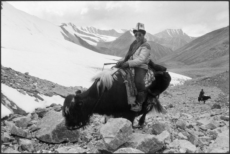 Abdul Wali sur son yack, non loin du col de Karadjilga (Afghanistan).