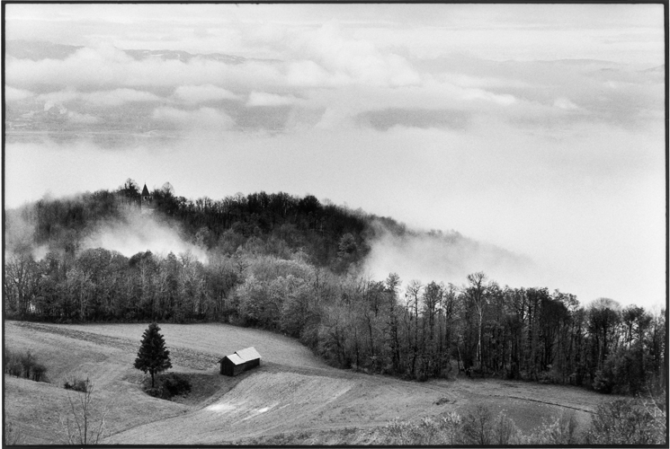 Lautomne dans les collines de Gorjanci (Slovnie), avant la frontire croate.