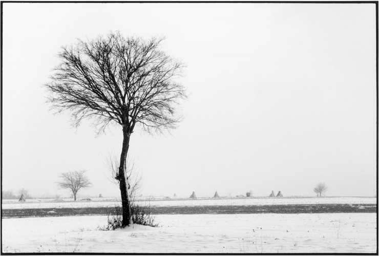 Lhiver sur la campagne au nord de Nich (Serbie).