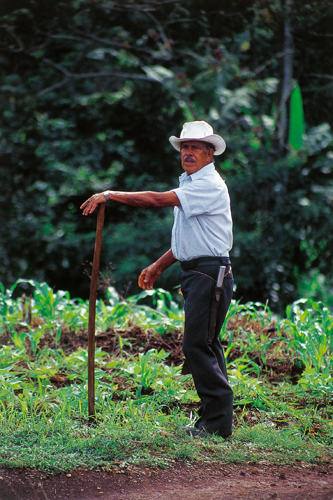 Ramn, <i>campesino</i>, cultive le caf arabica dans la valle de SanIsidro del General (CostaRica).