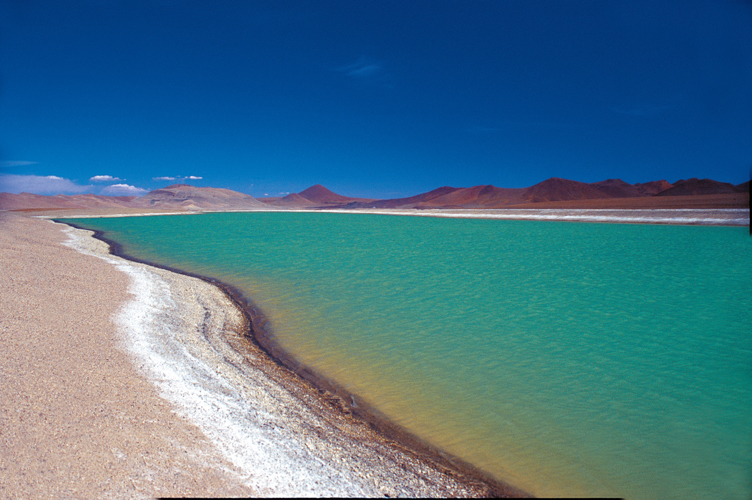 Laguna Quipiaco,  proximit de SanPedro de Atacama (Chili).