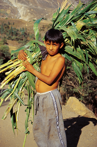 Enfant des environs dHuaraz (Prou).