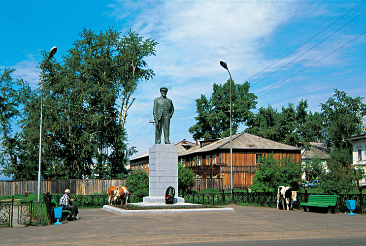 Dans les jardins de taros (Pentecte).