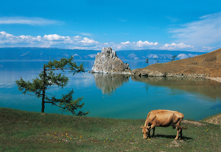 Au-del dIrkoutsk, le Transsibrien longe la rive mridionale du lac Bakal qui, en son centre, abrite la localit de Khoujir, sur lle dOlkhon.