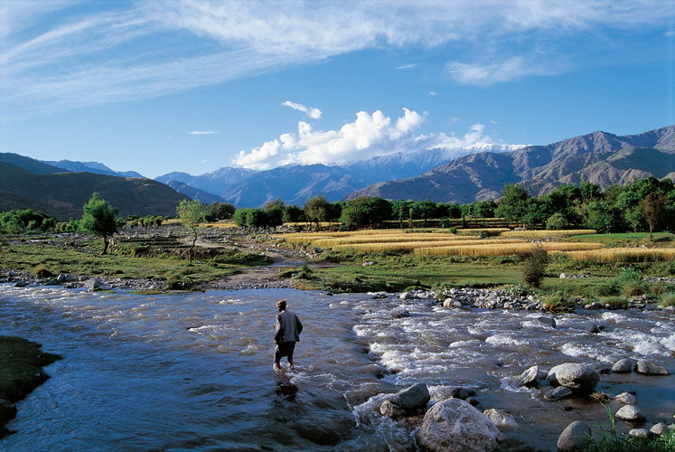 Au milieu des annes1990, avec lintroduction dans la province du Nangarhar de graines despces de pavot comptant plusieurs fleurs par pied, la production  lhectare a fortement augment.