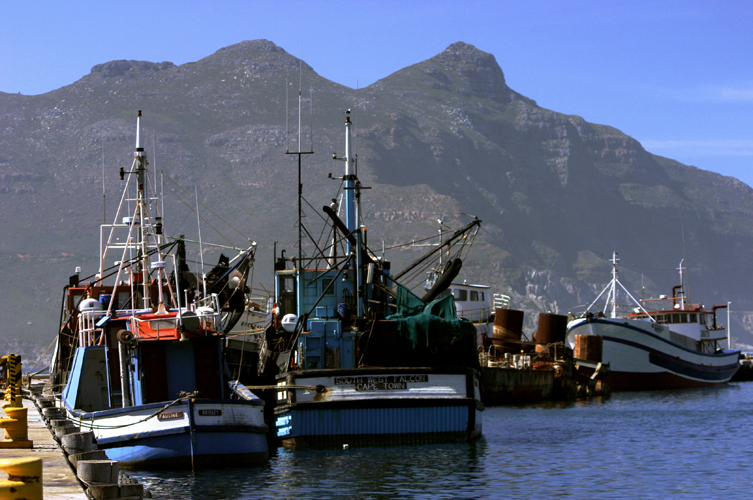  quelques dizaines de kilomtres de la ville du Cap, le village de Hout Bay est un lieu paisible entre mer et montagne. Son port est principalement ddi  la pche au thon.