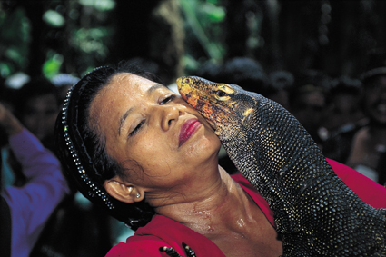 Chez les Bugis de Sulawesi, le varan est parfois adopté et traité comme le serait un enfant : il devient alors un intermédiaire entre les hommes et les dieux.