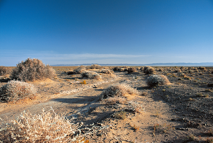 Plateau d’une altitude moyenne de 1 000 mètres, couvert de sable sur 3 % de sa surface, le désert de Gobi, tire son nom des <i>gowi</i>, cuvettes caillouteuses à fond plat. Celle de Sharga (province du Gov’-Altai) dans l’ouest du pays compte parmi les plus vastes.