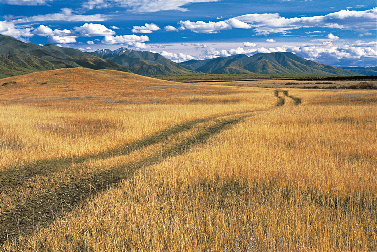 Seulement 1% des pistes mongoles est goudronn. Les axes principaux, qui relient les chefs-lieux des vingt et une provinces du pays, se rduisent  une tranche dans le sable ou  des ornires qui soulignent les pentes herbues des collines.
